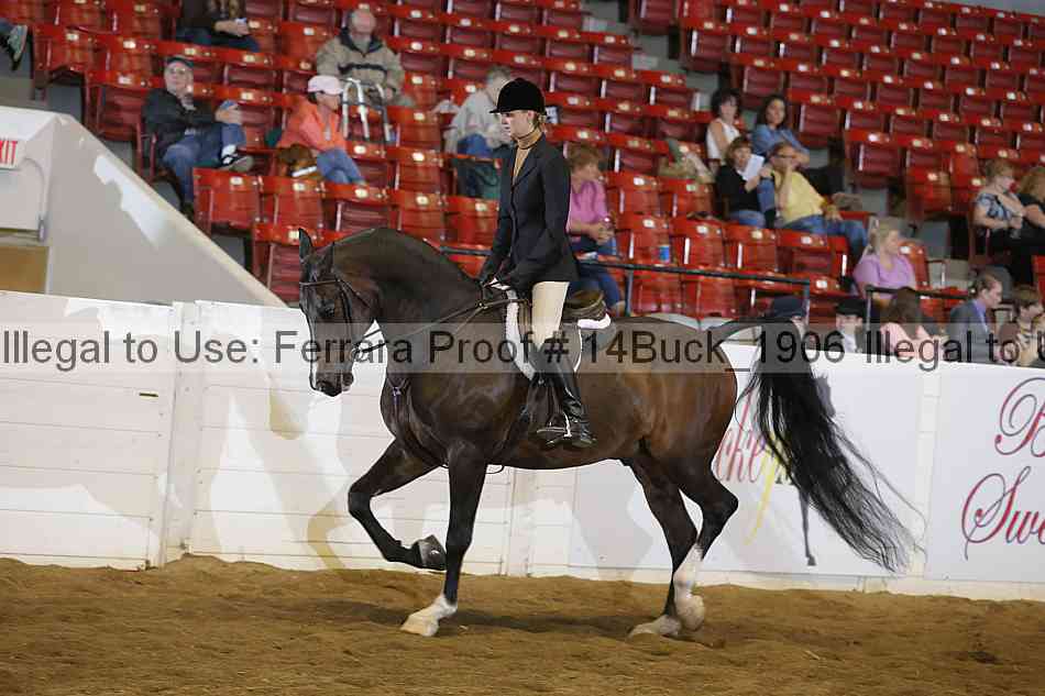 Proof 14buck_1906