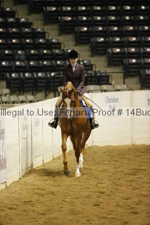 Proof 14buck_1909