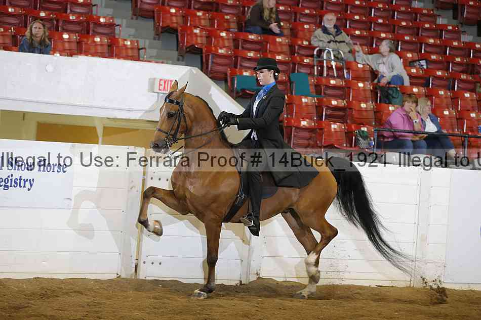 Proof 14buck_1921