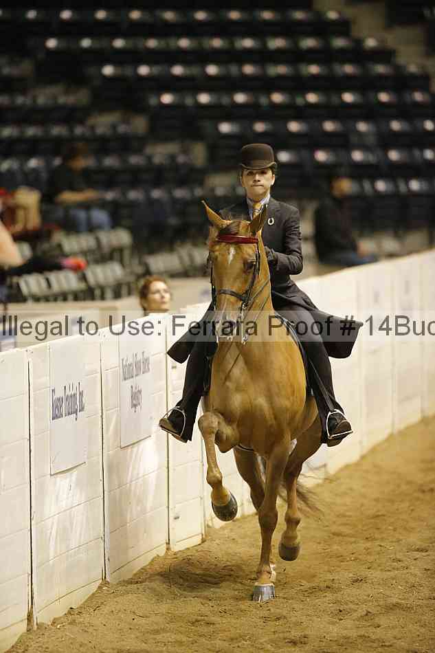 Proof 14buck_1927