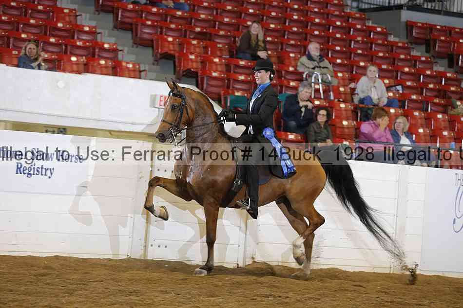 Proof 14buck_1928