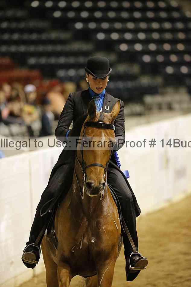 Proof 14buck_1932