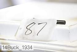 14buck_1934 proof