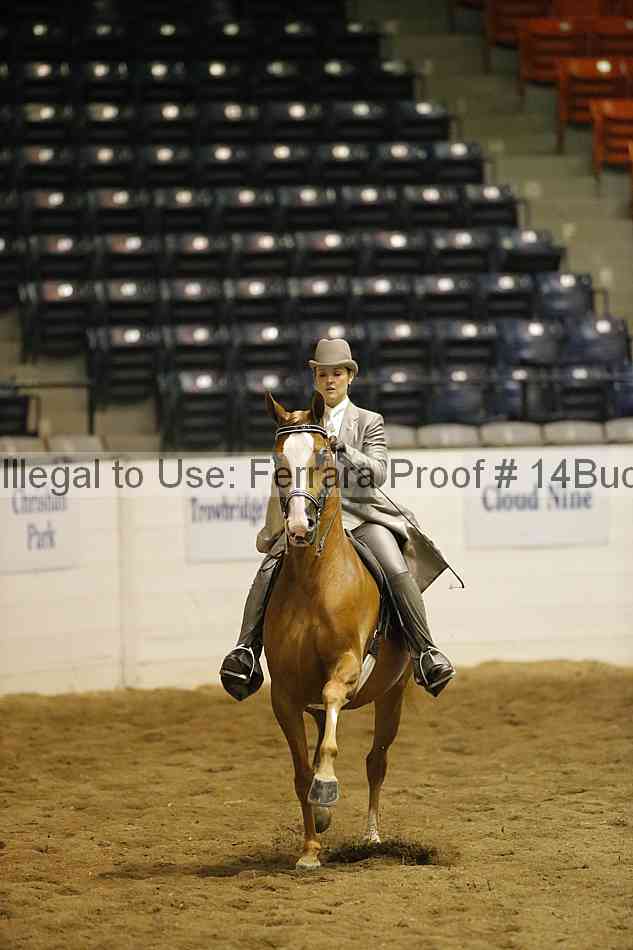 Proof 14buck_1936