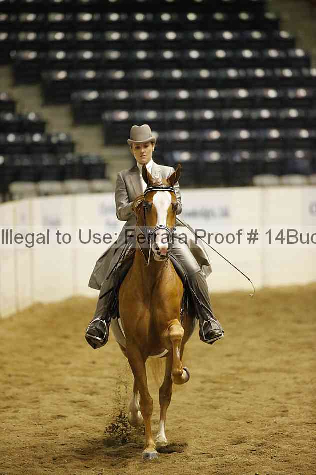 Proof 14buck_1937
