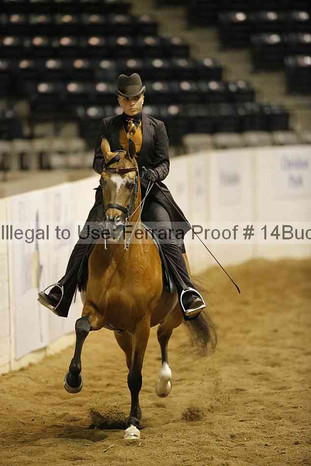 Proof 14buck_1941