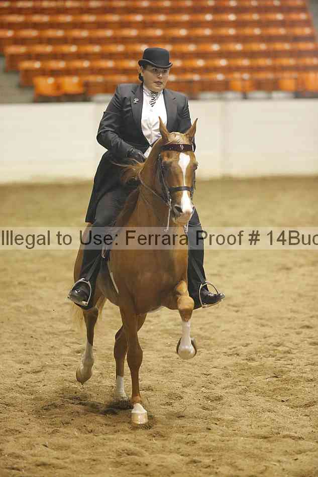 Proof 14buck_1959