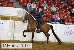 14buck_1970 proof