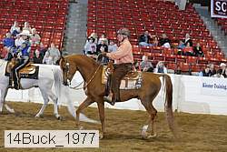 14buck_1977 proof