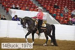 14buck_1978 proof