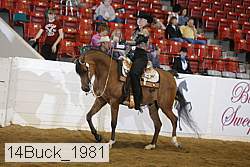 14buck_1981 proof