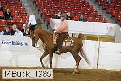 14buck_1985 proof