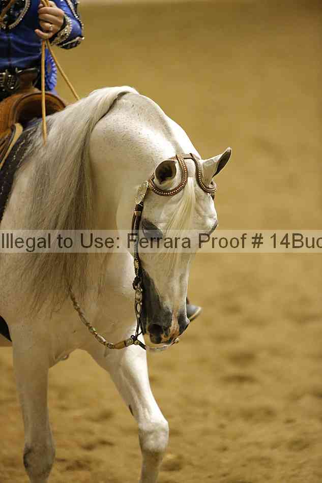 Proof 14buck_1991