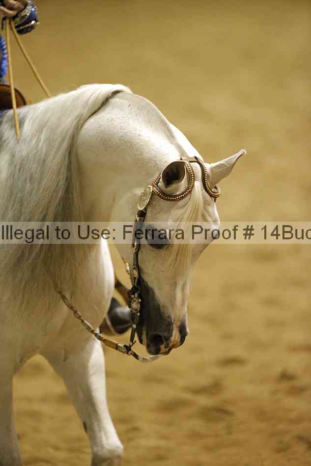 Proof 14buck_1993