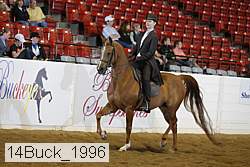 14buck_1996 proof