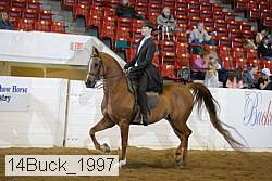 14buck_1997 proof
