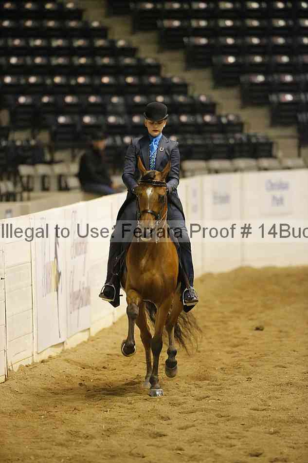 Proof 14buck_2004