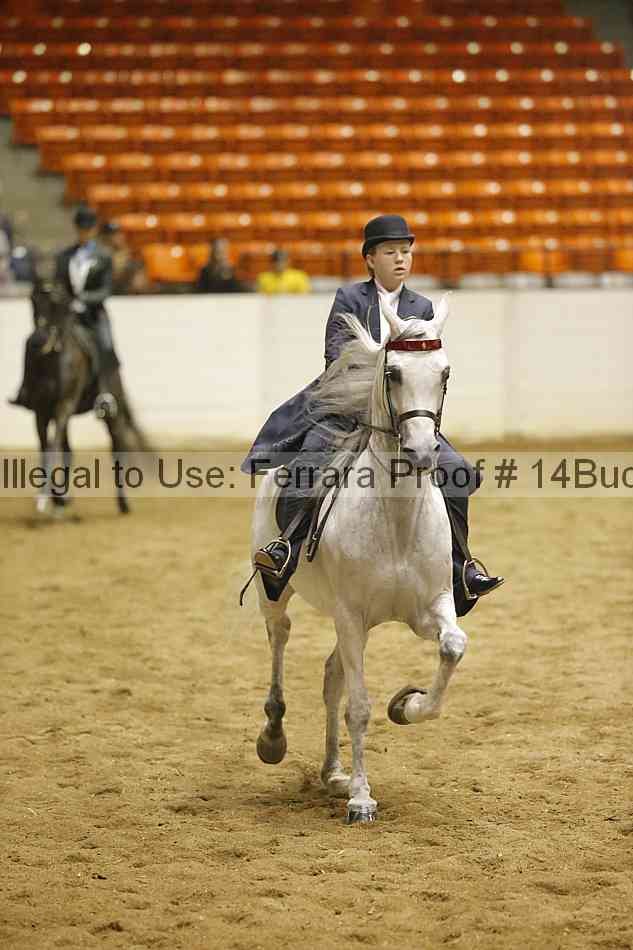 Proof 14buck_2006
