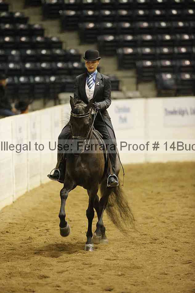 Proof 14buck_2007