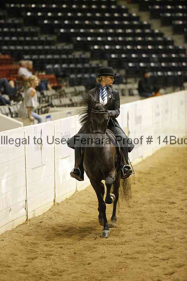 Proof 14buck_2008