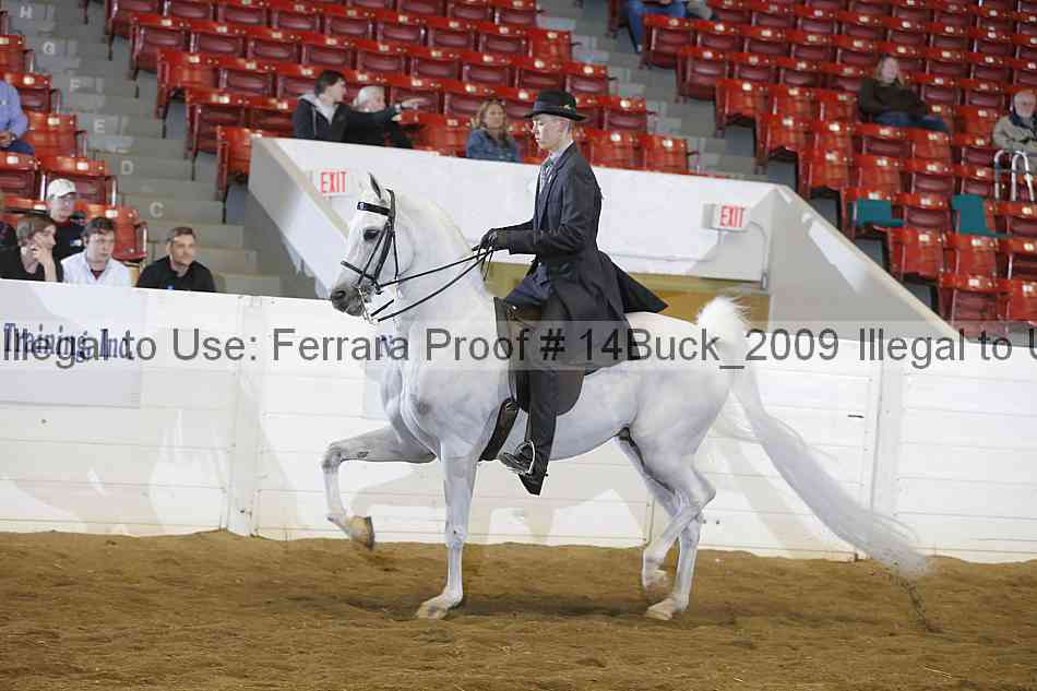 Proof 14buck_2009