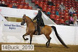 14buck_2010 proof