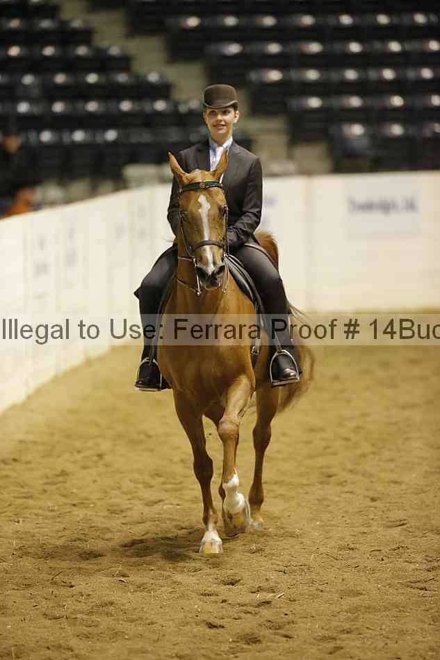 Proof 14buck_2011