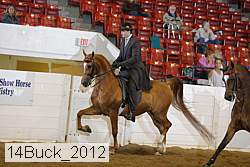 14buck_2012 proof