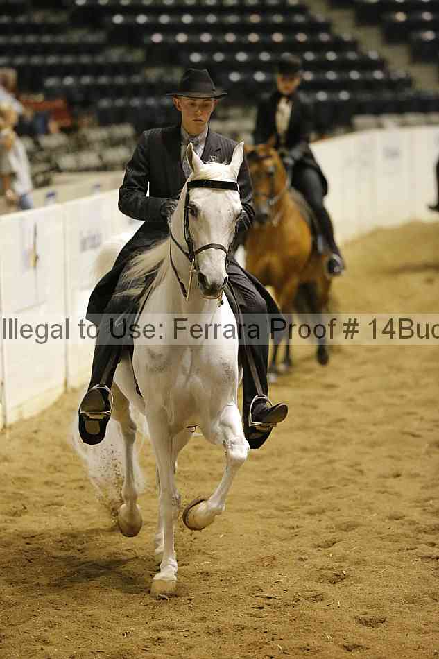 Proof 14buck_2013