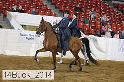 14buck_2014 proof
