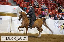 14buck_2021 proof