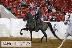 14buck_2023 proof
