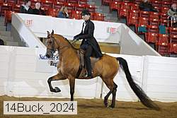 14buck_2024 proof
