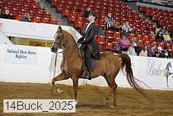 14buck_2025 proof