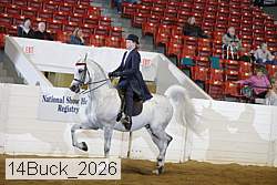 14buck_2026 proof