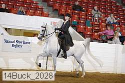 14buck_2028 proof