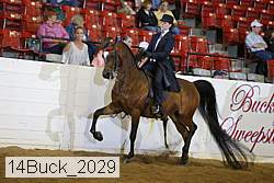 14buck_2029 proof