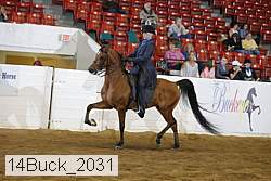 14buck_2031 proof