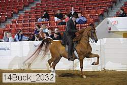 14buck_2032 proof