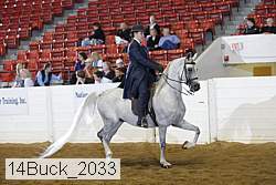 14buck_2033 proof