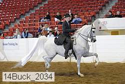 14buck_2034 proof