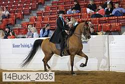 14buck_2035 proof