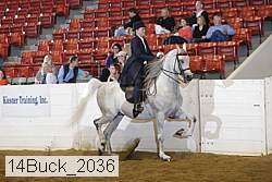14buck_2036 proof