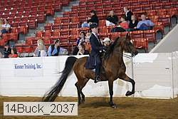 14buck_2037 proof