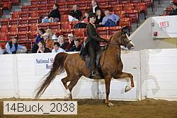 14buck_2038 proof