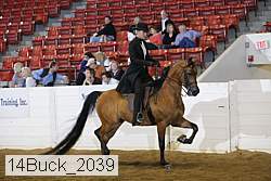 14buck_2039 proof