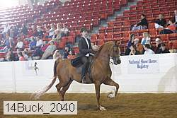 14buck_2040 proof
