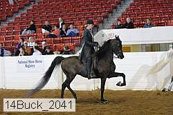 14buck_2041 proof