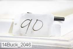 14buck_2046 proof