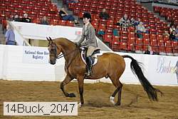 14buck_2047 proof